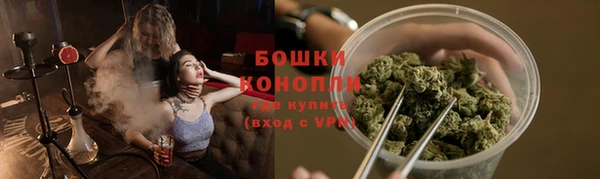 сатива Алексин
