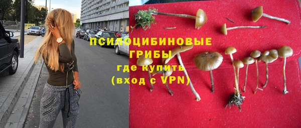 сатива Алексин