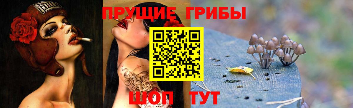 Галлюциногенные грибы Cubensis Невинномысск